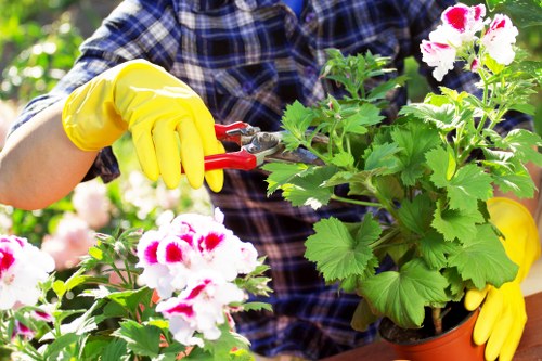 Illustration representing cookie use on Landscapers Waterloo website