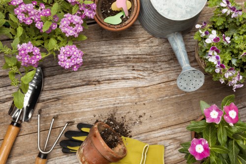 Local lawn care service for a Waterloo residential front yard