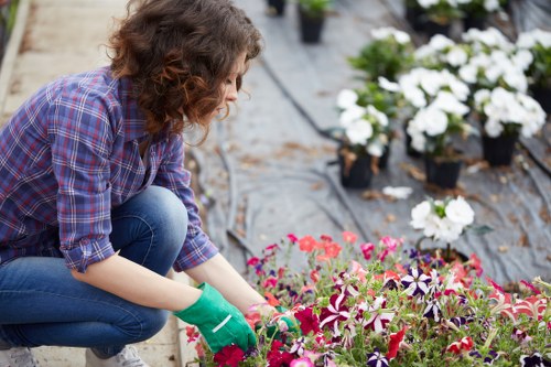 Landscaping waste being sorted for eco-friendly recycling in Waterloo