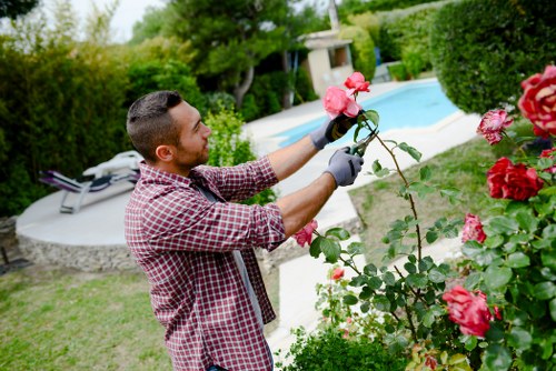 Supervisor reviewing safe work practices on a landscaping site