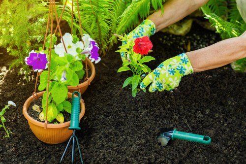 Landscaping service investigating a site issue