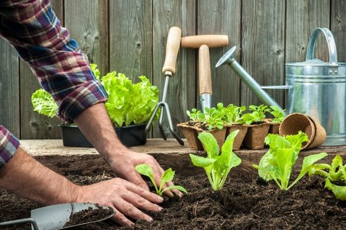 Landscapers Waterloo team designing a welcoming front yard landscape