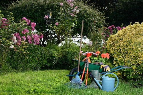 Local garden design and maintenance service for Waterloo properties