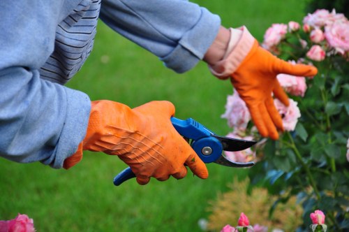 Professional lawn care for a townhouse lawn in Waterloo