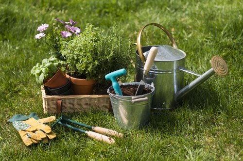 Garden renovation project for a Waterloo home with improved layout and planting