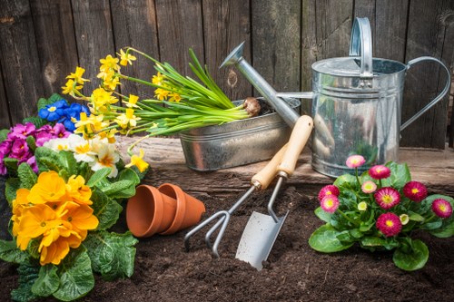 Regular lawn care and hedge trimming for a Waterloo property garden