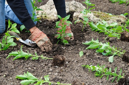 Secure landscaping payment area in Waterloo with protected card processing