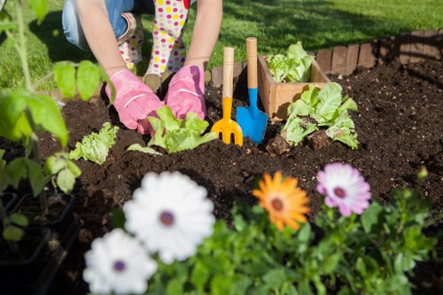 Professional landscaping services for Waterloo properties