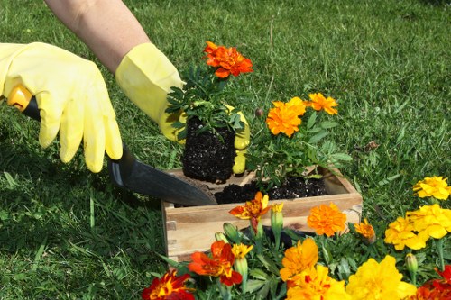 Professional Waterloo garden maintenance with trimming, weeding, and tidy borders