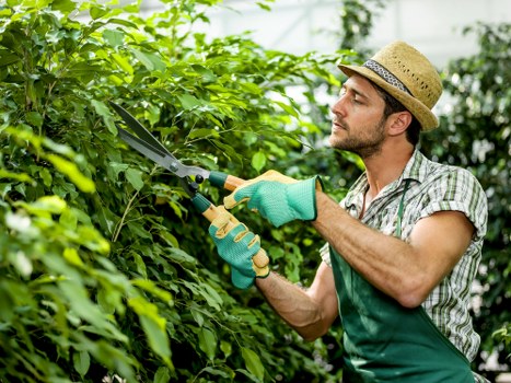 A local team providing lawn maintenance in Waterloo
