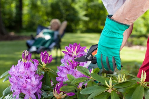 Seasonal lawn care for a townhouse or commercial property in Waterloo
