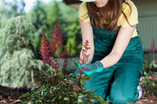 Local garden clearance and redesign work in Waterloo urban outdoor space