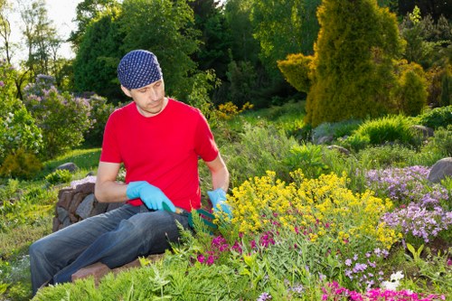 Safe tree removal service for a Waterloo property