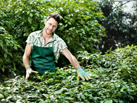 Garden planting work with soil preparation and layout planning in Waterloo