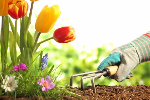 User adjusting cookie settings for Waterloo landscaper website