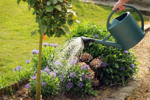 Overgrown garden clearance and maintenance work in Waterloo