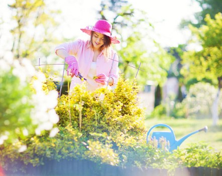 Commitment to ongoing ethical standards in landscaping services