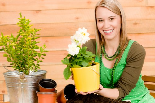 Preparing a Waterloo property for a landscaping project