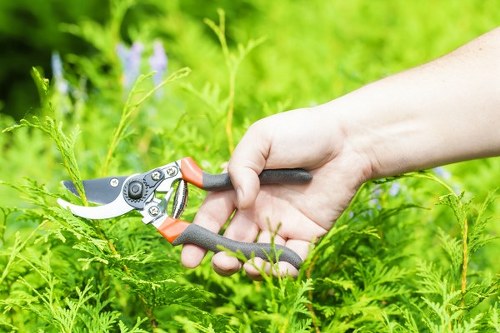 Worksite inspection after a landscaping complaint