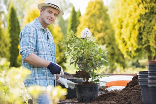 Planning a garden renovation in Waterloo with paving and planting improvements