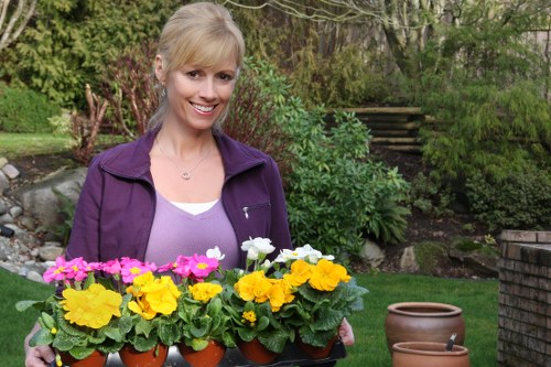 Professional garden clearance for a compact London rear garden in Waterloo