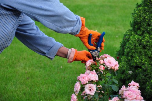 Free quote policy for local rubbish and garden waste removal
