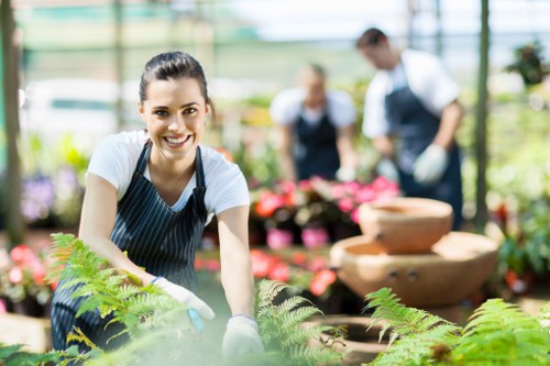 Accessibility support section for Waterloo landscaping visitors
